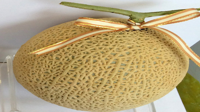 Dưa lưới trồng tại Đà Lạt.