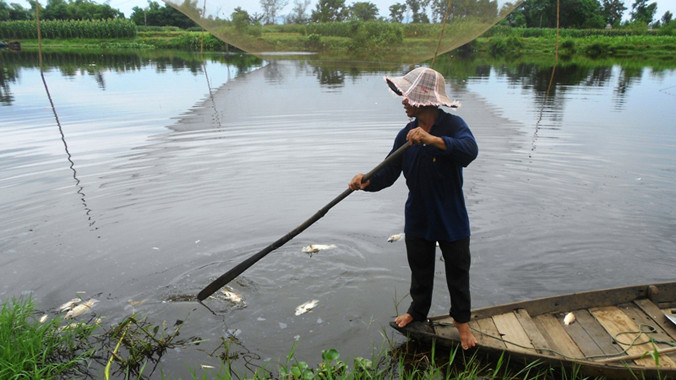 Cá chết nổi trên mặt sông Ly Ly.