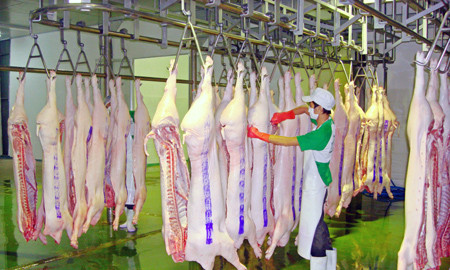 Nhà máy chế biến thực phẩm D&F. Ảnh: Lao Động