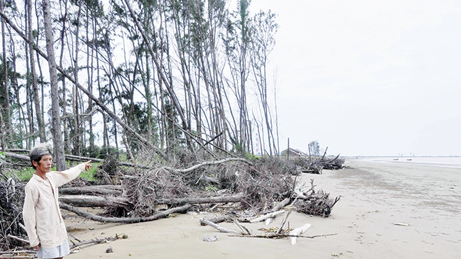Người dân Cồn Nhàn, ấp Mù U, xã Dân Thành (Duyên Hải, Trà Vinh) trước bờ biển bị xói lở. Ảnh: Hòa Hội.