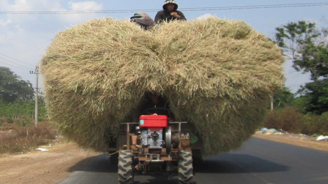 Hiểm họa từ những cây rơm di động