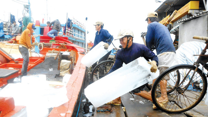 Ngư dân Lý Sơn tiếp thêm đá lạnh để vươn khơi. Ảnh: Nam Cường - Anh Thư.