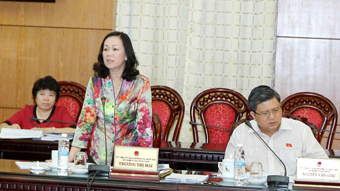 Bà Trương Thị Mai. Ảnh: Hồng Vĩnh.