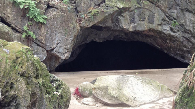 Rùa đá trước chùa Hang