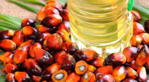 Tinh dầu cọ. Ảnh minh họa