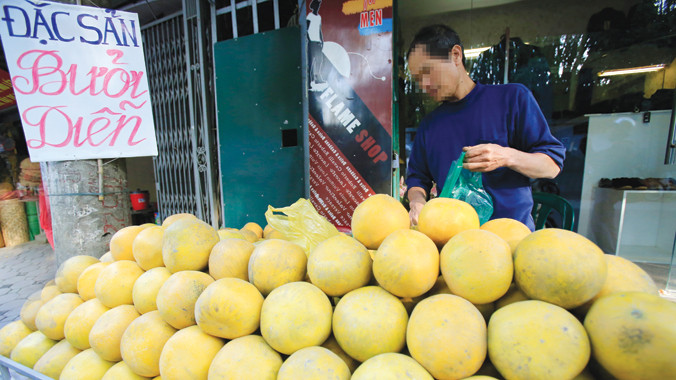 Bưởi Diễn được bán nhiều trên đường Phúc Diễn - Từ Liêm - Hà Nội. Ảnh: Ngọc Châu.