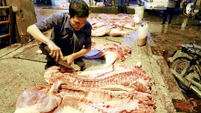 Tại một lò giết mổ lợn tự phát.