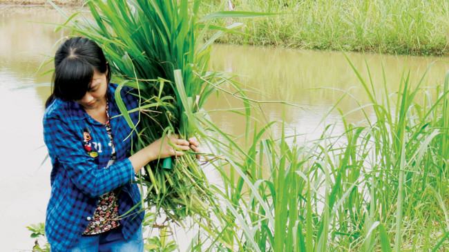 Gia cảnh nghèo khó của nữ sinh 29 điểm trượt đại học