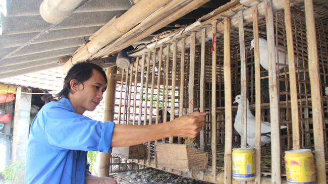 Chọn cho mình hướng đi mới lạ khiến Sơn thành công trong phát triển kinh tế. Ảnh: Hoài Văn.