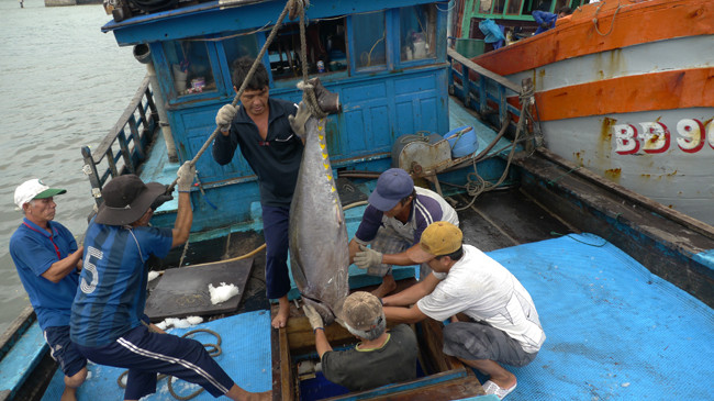 Lao động lành nghề ngày càng khan hiếm khiến chủ tàu lo lắng. Ảnh: Hoài Văn.