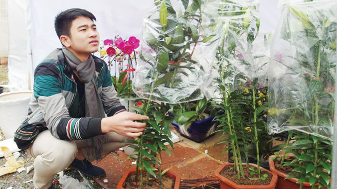 Không về quê sinh viên ở lại bán hoa Tết.