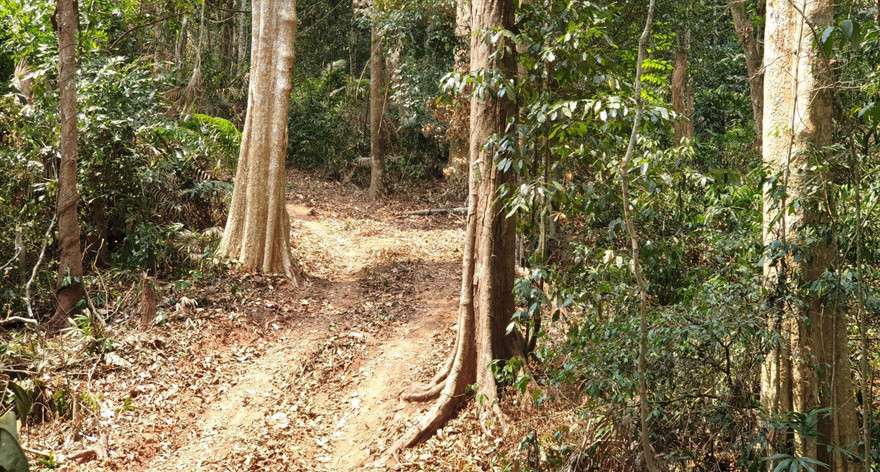 Con đường được cho là do lâm tặc khai thông còn in vết bánh xe ô tô, nhưng Thượng tá Nguyễn Hữu Trung nói rằng đó là đường dân đi làm rẫy