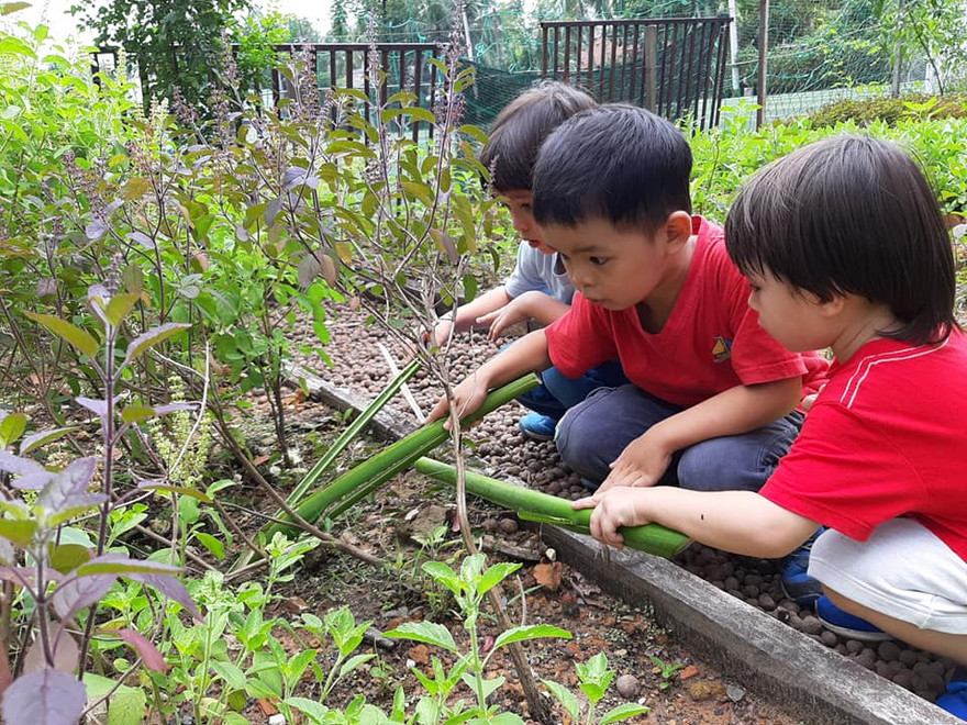 Học sinh tham gia các buổi dã ngoại