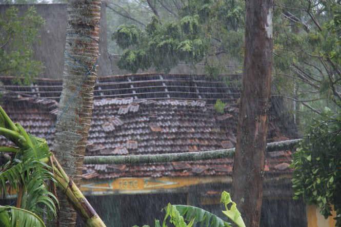 Bình Định thiệt hại hàng trăm tỷ đồng sau bão số 5. Ảnh: Trương Định