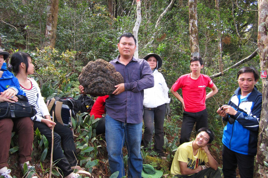 Thầy trò mừng rỡ với tảng nấm linh chi giữa VQG Yok Đôn Ảnh: NGUYỄN QUYỀN