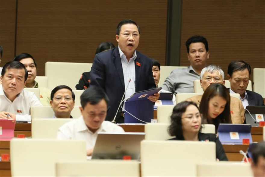 ĐBQH Lưu Bình Nhưỡng tại phiên thảo luận Ảnh: Như Ý 