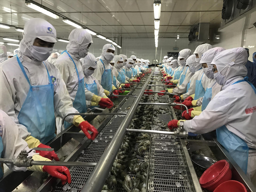 Nguồn gốc, xuất xứ hàng hóa là thách thức lớn với các DN Việt Nam xuất khẩu sang EU ảnh: Bình Phương 