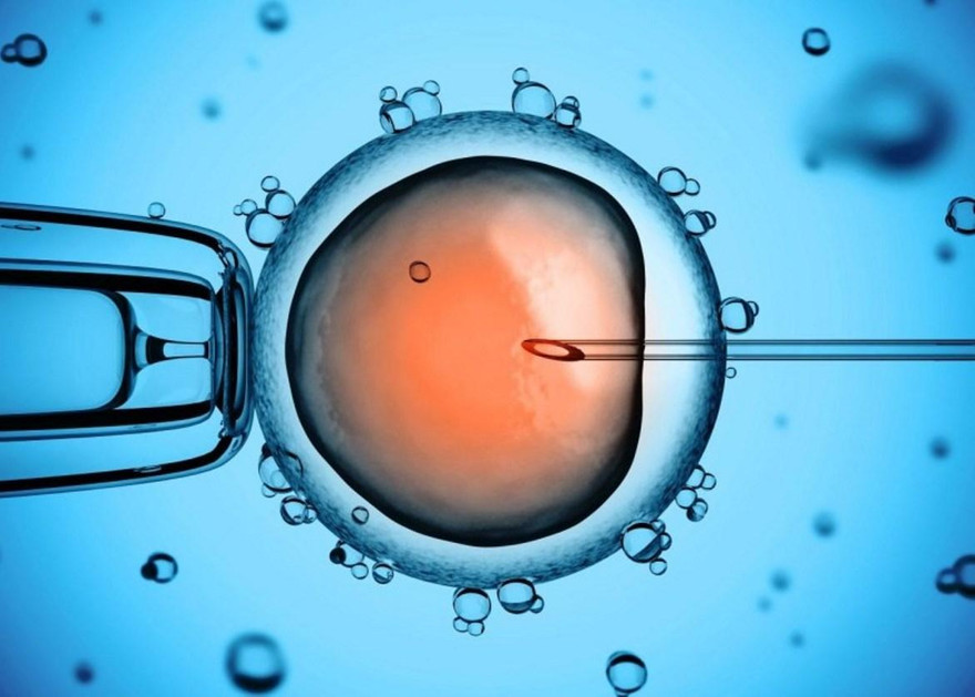 Thụ tinh trong ống nghiệm đang là sự lựa chọn đối với nhiều cặp vợ chồng Trung Quốc 