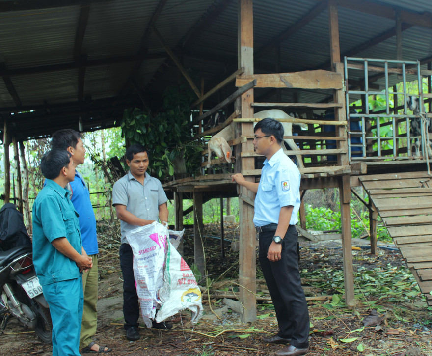 Anh Y Knáp (thứ 2 phải qua) chia sẻ về cách nuôi dê nhốt chuồng 