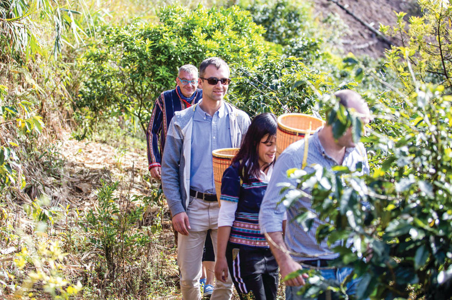 Du khách tham gia tua trải nghiệm ở trang trại cà phê