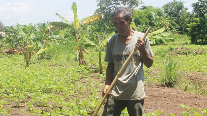 Cuộc sống cơ hàn của Điểu Klung.