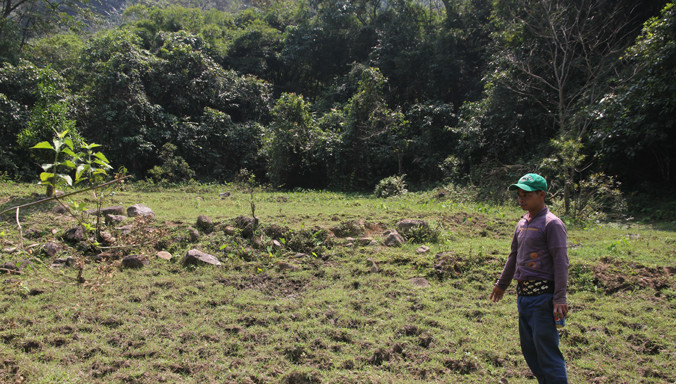 Những ruộng trồng lúa của đồng bào Vân Kiều ở Làng Hồ thành bãi đất đá sỏi lấp tràn, cỏ mọc hoang dại. Ảnh: H.T