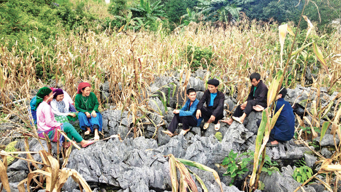 Người Cờ Lao tái hiện cảnh hát giao duyên.