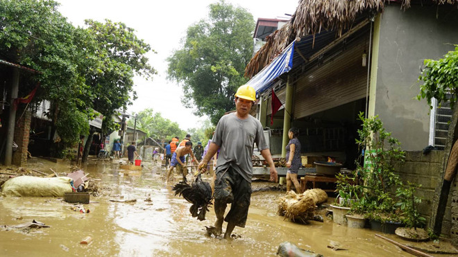 Nhiều gia súc, gia cầm cũng bị chết vì lũ lụt. Ảnh: Ngọc Bằng - Phạm Đức