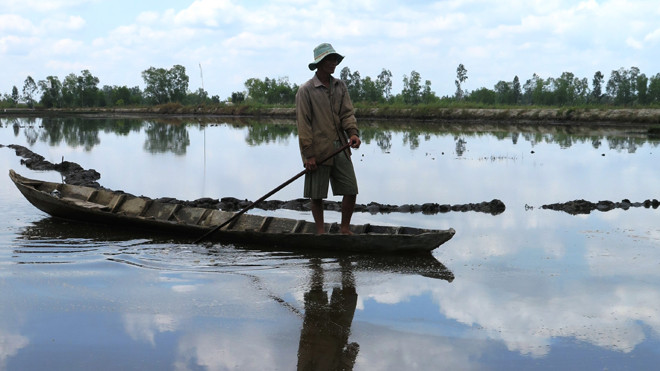 Ông Nguyễn Văn Mãi, Bí thư Chi bộ ấp 1, xã Khánh Hội trên ruộng lúa - ao tôm.