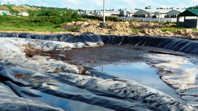Cty TNHH Green Farm Asia thải ra môi trường.