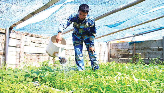 Võ Văn Công chăm sóc vườn rau trên đảo Đá Tây A. Ảnh: Trường Phong