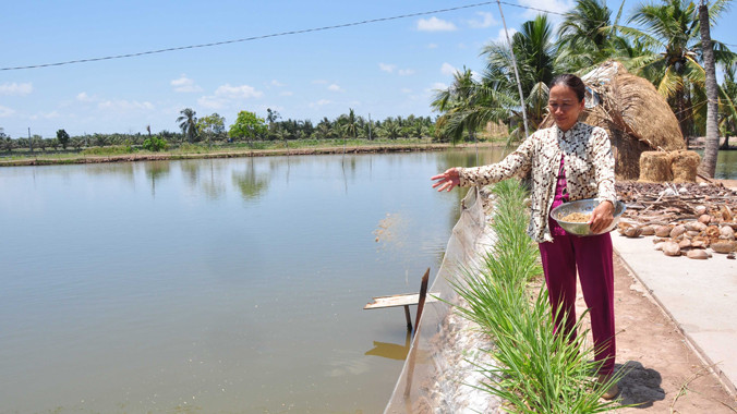 Bà Nguyễn Thị Bích Vân cho tôm ăn. Ảnh: Hòa Hội