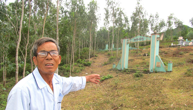 Ông Võ Hưng chỉ nơi mảnh đất trồng rừng bị treo sổ đỏ mấy năm nay. Ảnh: Nam Cường