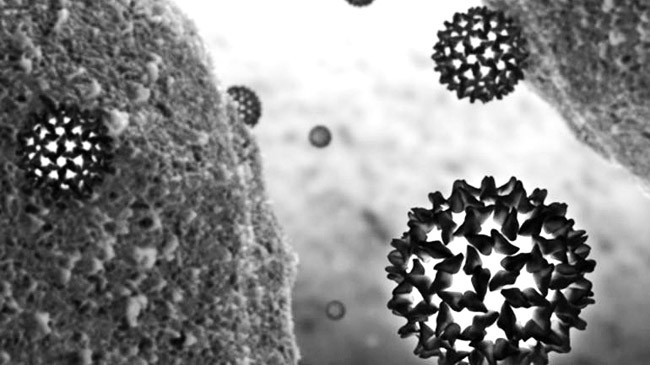 Virus viêm gan - Mối nguy hiểm khôn lường