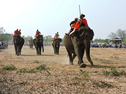 Buôn Đôn đua voi