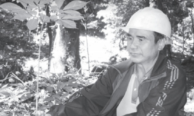 Quảng Nam là một trong hai tỉnh sở hữu loại sâm quý Ngọc Linh, tuy nhiên sản phẩm làm từ sâm còn rất nghèo nàn. Ảnh: T.T