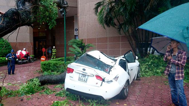 Hà Nội: Nhiều nhà bị tốc mái, trên 100 cây đổ