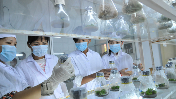 Sinh viên nghiên cứu trong phòng thí nghiệm. Ảnh: Hồng Vĩnh