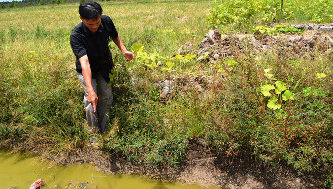Người dân Thới Bình, U Minh đang chỉ nước đã cạn xuống trên cánh đồng. Ảnh: Tiến Hưng