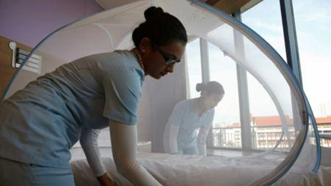 Y tá mắc màn trong phòng bệnh nhân Zika ở bệnh viện Farrer Park, Singapore hôm 2/9. Ảnh: Edgar Su