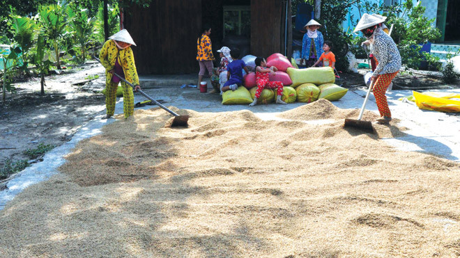 Bà Nguyễn Thị Chính cùng con cháu đảo lúa. Ảnh: Hòa Hội