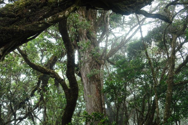 1.000 tỷ đồng xây công viên bảo tồn động vật hoang dã