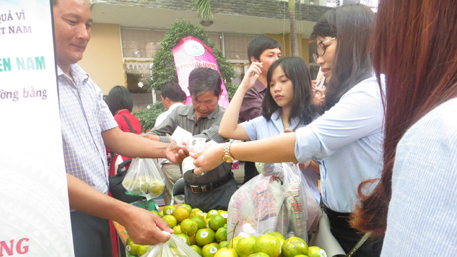 Tiểu thương vựa rau củ quả chợ đầu mối Hóc Môn đã liên kết với nông dân sản xuất nông sản sạch.