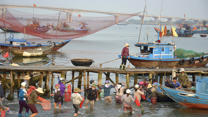 Bến cá quá tải vì cầu mới