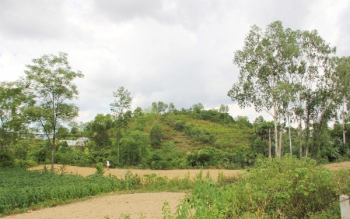 34ha giải phóng mặt bằng xong bỏ hoang