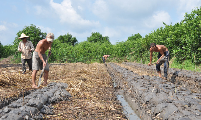 Nghề đào đất.