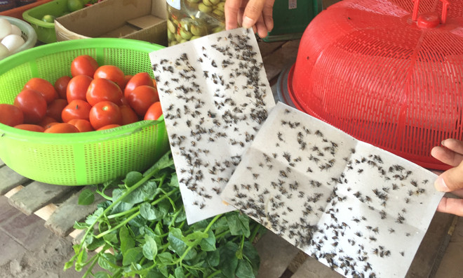 Người dân bức xúc vì không khí ô nhiễm và phải sống chung với ruồi. Ảnh: Trần Hoàng