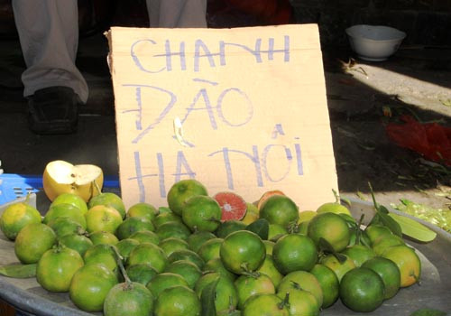 Mới 9h sáng nhưng hàng chanh đào của anh Nghĩa đã gần hết. Ảnh: Hồng Châu/VnExpress