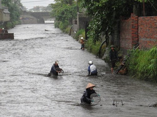 Bãi chứa than của nhiều công ty ở TP Cẩm Phả (Quảng Ninh) bị nước lũ cuốn ra biển. Tiếc của, cả trăm người dân hai phường Cẩm Sơn và Cẩm Phú đổ ra suối B5-12 nạo vét than bất chấp cảnh báo nguy hiểm từ chính quyền TP Cẩm Phả. Ảnh: VnExpress