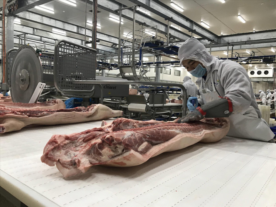 Các tập đoàn, DN lớn đã rót hơn 20.000 tỷ đồng vào các dự án chế biến, bảo quản nông sản trong  năm 2019. Ảnh: Bình Phương 